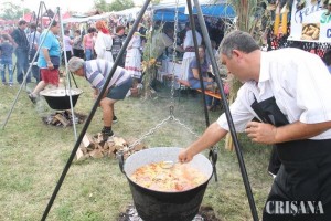 festivalul-sarmale4